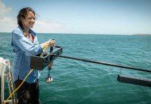 Citizen scientists can help endangered sharks