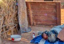 What time the malaria-bearing mosquito bites you might make a difference