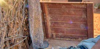 What time the malaria-bearing mosquito bites you might make a difference