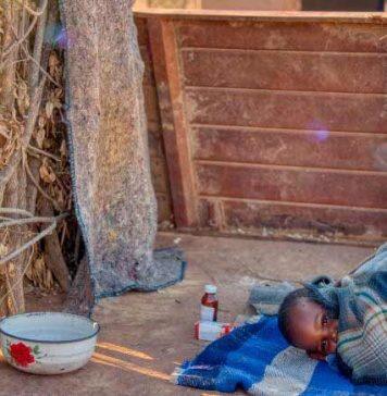 What time the malaria-bearing mosquito bites you might make a difference