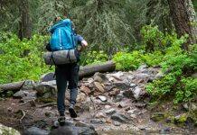 What can social media images tell us about our impact on nature reserves?