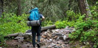 What can social media images tell us about our impact on nature reserves?