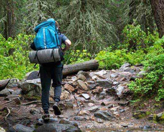What can social media images tell us about our impact on nature reserves?