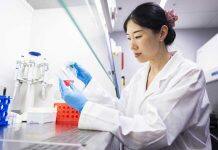 Stem cell “magic potion” with promise