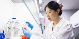 Stem cell “magic potion” with promise