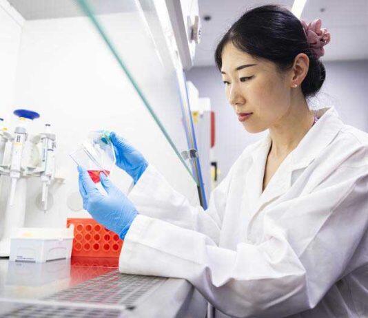 Stem cell “magic potion” with promise