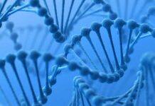 Australian Government bans genetic discrimination in life insurance: A big win for preventive health