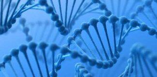 Australian Government bans genetic discrimination in life insurance: A big win for preventive health