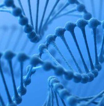 Australian Government bans genetic discrimination in life insurance: A big win for preventive health