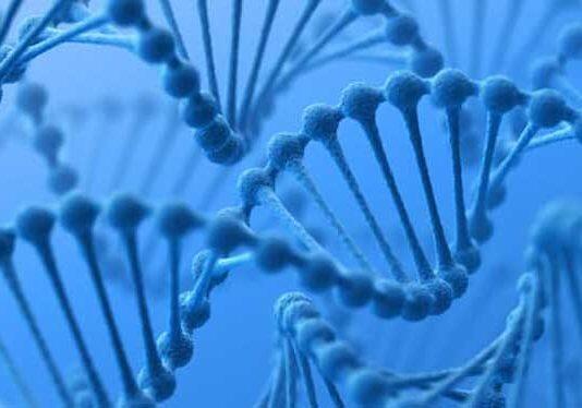 Australian Government bans genetic discrimination in life insurance: A big win for preventive health