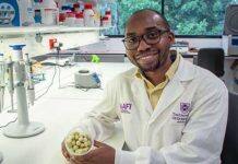 Science backs traditional knowledge of Kakadu plum health benefitsd