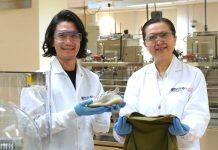 NUS making bold strides towards a synthetic biology-driven future