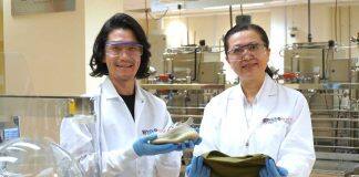 NUS making bold strides towards a synthetic biology-driven future