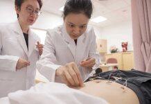 Electro-acupuncture could help with obesity management, finds scientists