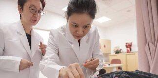 Electro-acupuncture could help with obesity management, finds scientists