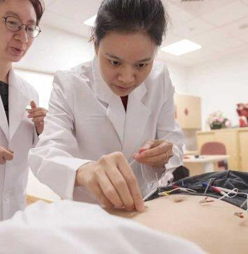 Electro-acupuncture could help with obesity management, finds scientists