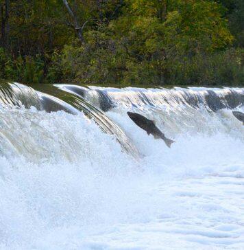 New global database of dams and reservoirs could transform water management