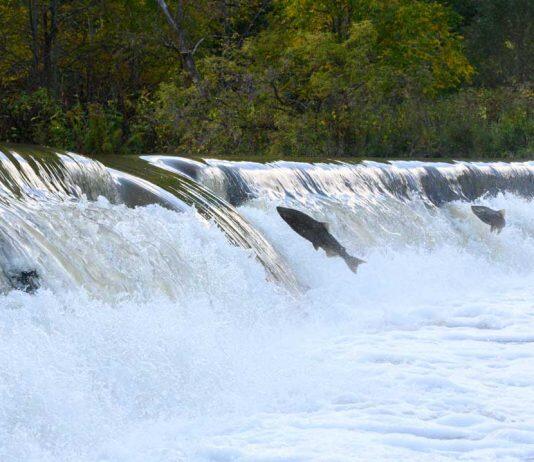 New global database of dams and reservoirs could transform water management