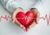 Funds give heartbeat to cardiovascular research