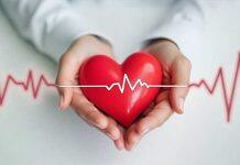 Funds give heartbeat to cardiovascular research