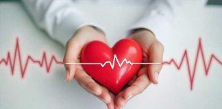 Funds give heartbeat to cardiovascular research