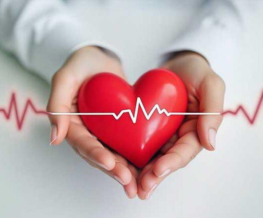 Funds give heartbeat to cardiovascular research