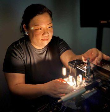 Transforming IVF: Biophotonics Grant to Revolutionise Embryo Quality Selection