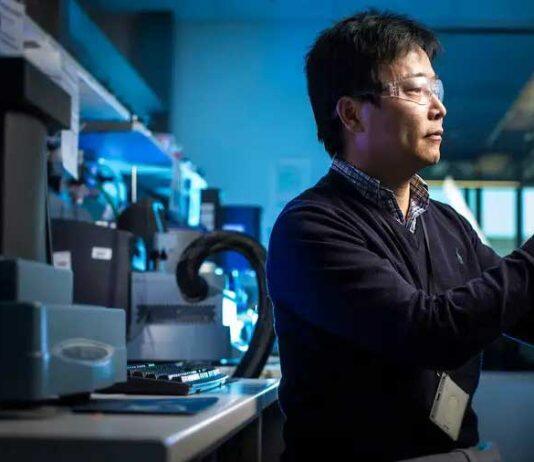 UOW researchers among world’s most influential, leading positive change