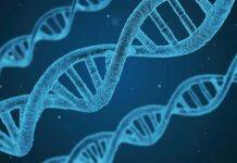 Personalised cancer care for majority whose genes were sequenced, study finds