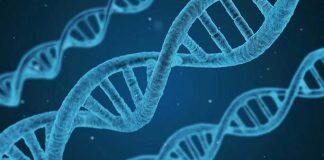 Personalised cancer care for majority whose genes were sequenced, study finds