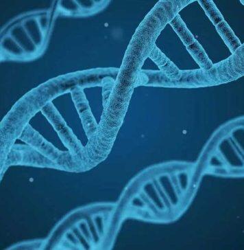 Personalised cancer care for majority whose genes were sequenced, study finds