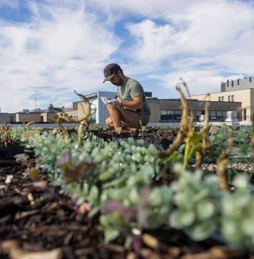 University of Toronto ranked world’s most sustainable university for second year in a row