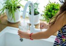 Study finds fluoride in water does not affect brain development