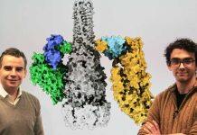 McMaster researchers use AI tech to unveil key mechanism of bacterial warfare