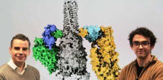 McMaster researchers use AI tech to unveil key mechanism of bacterial warfare