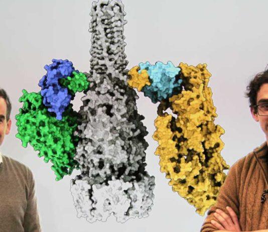 McMaster researchers use AI tech to unveil key mechanism of bacterial warfare