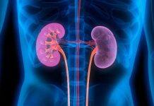 New targets for diabetic kidney disease could prevent end stage kidney failure