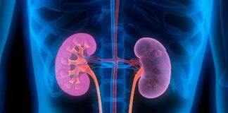 New targets for diabetic kidney disease could prevent end stage kidney failure
