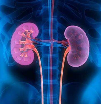 New targets for diabetic kidney disease could prevent end stage kidney failure
