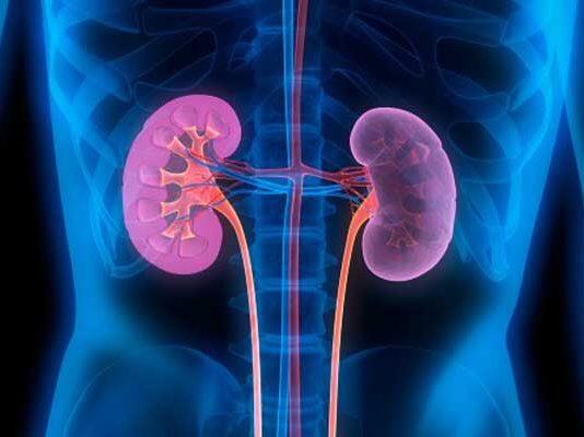 New targets for diabetic kidney disease could prevent end stage kidney failure