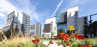 Major ranking recognises Imperial as top 10 global university for sustainability