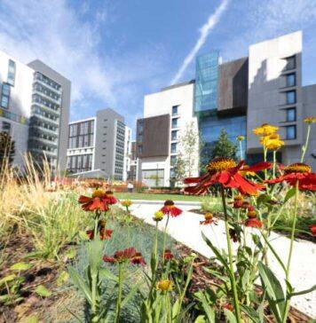 Major ranking recognises Imperial as top 10 global university for sustainability