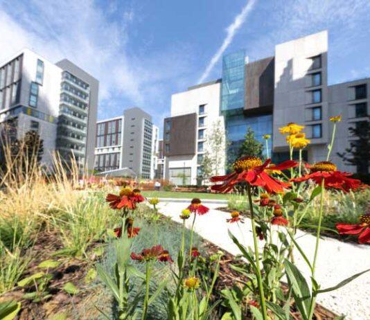 Major ranking recognises Imperial as top 10 global university for sustainability