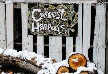 How to reduce food waste and feast sustainably this holiday season