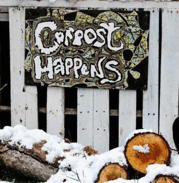 How to reduce food waste and feast sustainably this holiday season