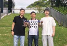 Novel graphene ribbons poised to advance quantum technologies