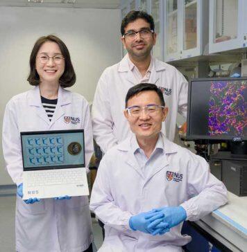 NUS scientists develop realistic ‘micro-gut’ model to study the relationship between gut microbes and human diseases
