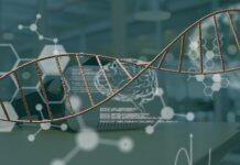 Genetic causes of rare condition linked to hearing loss and infertility found