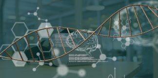 Genetic causes of rare condition linked to hearing loss and infertility found