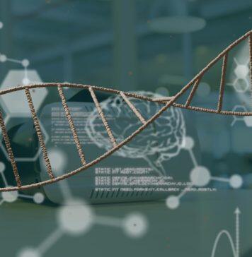 Genetic causes of rare condition linked to hearing loss and infertility found
